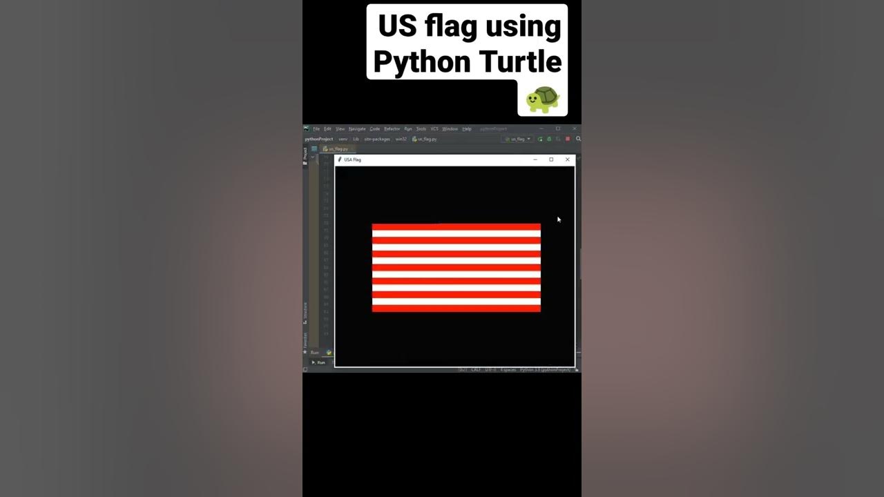 Usa flag python