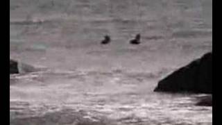 Surfers at Goosewing Beach, Little Compton, RI