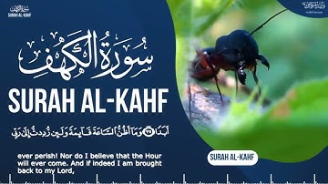 سورة الكهف تلاوة مؤثرة تلامس القلوب وتبعث الطمأنينة والراحة النفسية | Surah Al-Kahf Emotional Rec.