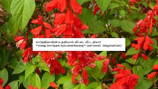 Ayyanar Thunai - Promo 14Th February 2026 - Shocking Twist Promo Review 2 Tamil Vijay Tv