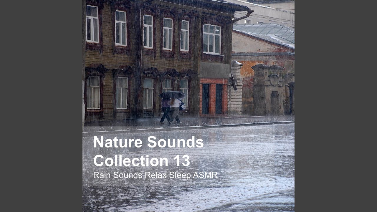 Countryside Morning Sound