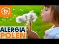 ¿Existe tratamiento para la alergia al polen?