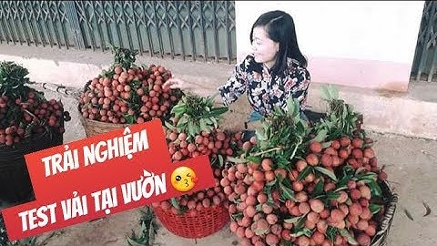 Test vải tại Lục Ngạn, Bắc Giang | Cô hàng xén