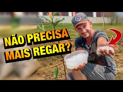 Vídeo: Hydrogel para plantas: comentários, aplicação. Hidrogel para plantas de interior