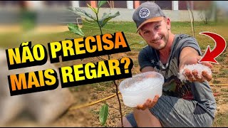 ESSE GEL VAI DEIXAR suas PLANTAS mais BONITAS | Henrique Buttler