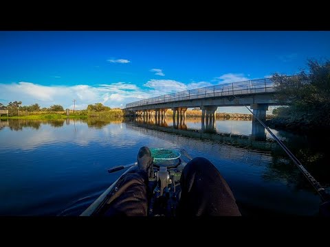 Topwater in August - California Delta Kayak Bass Fishing