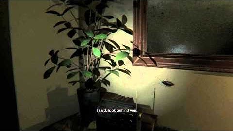 "Look Behind You" (P.T)