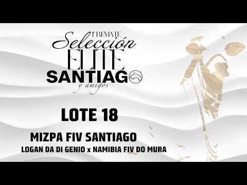 Lote 18   Mizpa FIV Santiago
