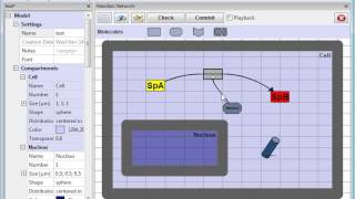 Zigcell3D - Building A Reaction Network For A Simple Signalling Cascade