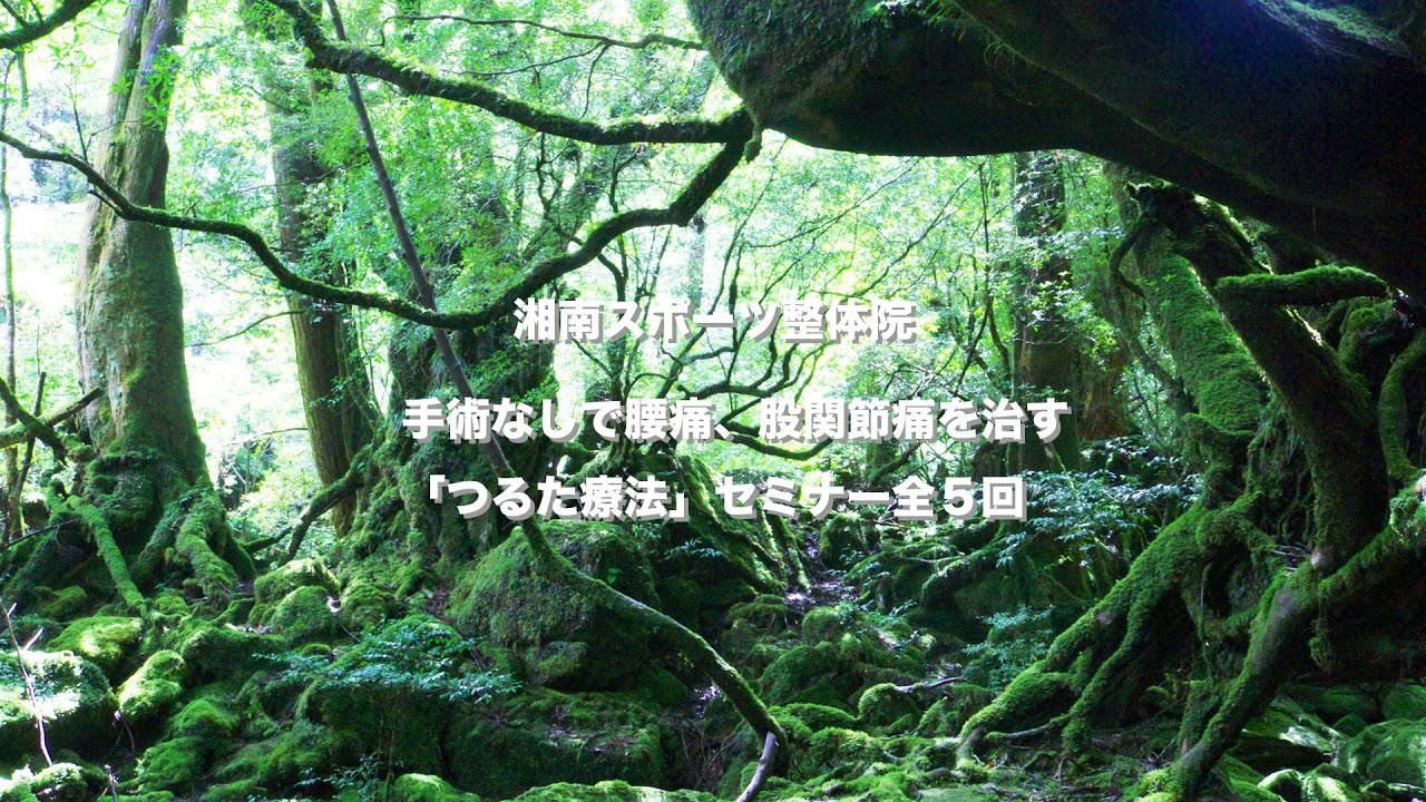 湘南スポーツ整体院 腰痛 股関節痛 膝関節痛などの痛みを鶴田式手当て療法で治療するセミナー
