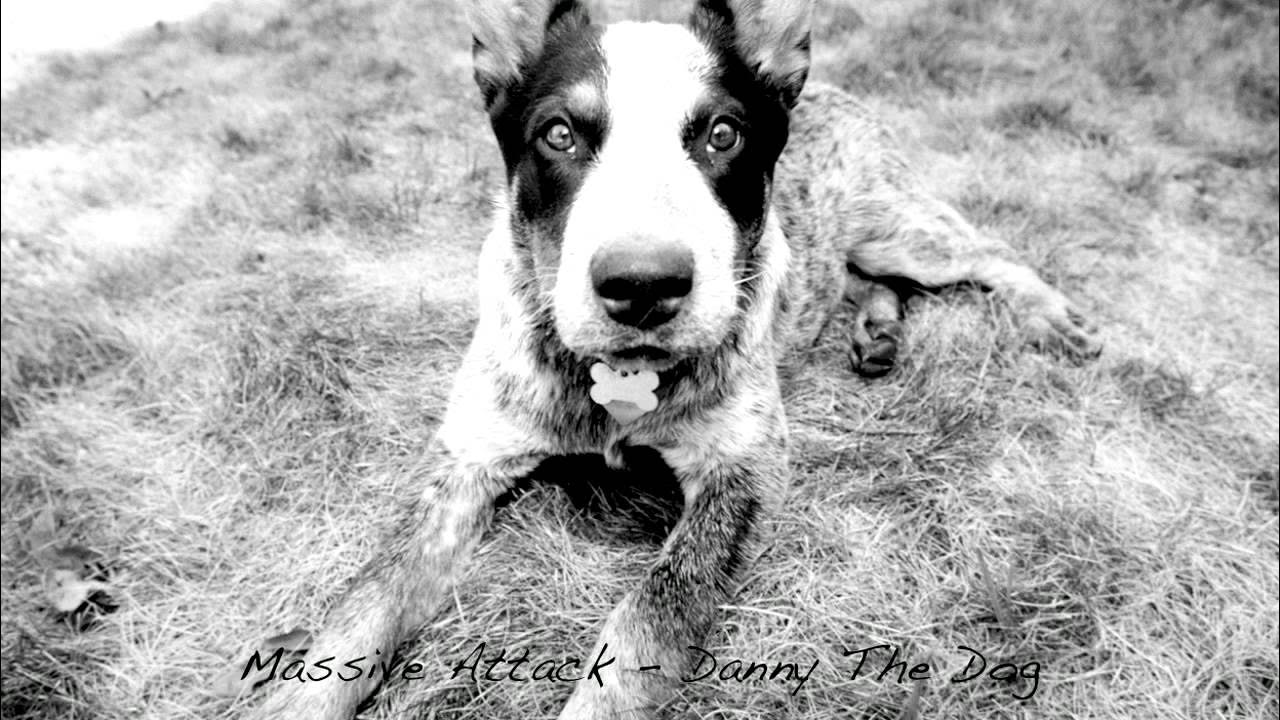 Как выглядит черно белая собака Massive Attack Danny The Dog - YouTube