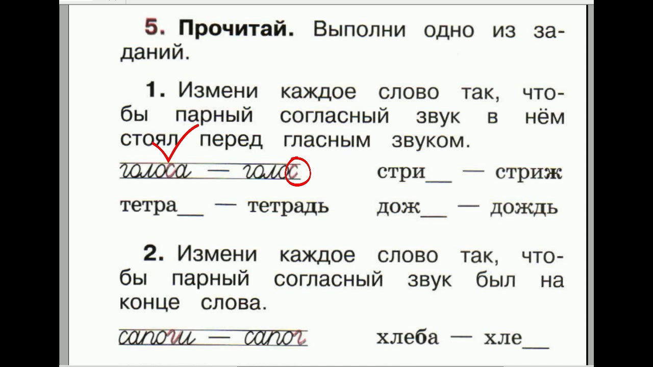 Окончание в слове читает. Парные согласные. Задания по русскому языку парные согласные. Задания по русскому языку 2 класс парные согласные. Парные согласные 1 класс задания.