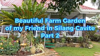 Beautiful Farm Garden of my Friend Pepe Cabrera in Silang Cavite Part 2