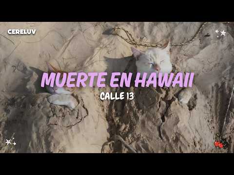 Calle 13 - Death in Hawaii (Lyrics)