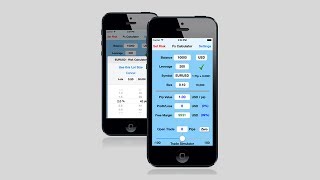 Forex Calculator - pip value, margin & position sizing