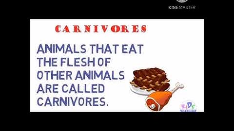 MLZS JHANSI CLASS 3 EVS Chapter 17 Eating Habits of animals Lecture 1