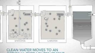 Moving Bed Biofilm Reactor (MBBR) video from Headworks BIO