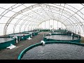 Botswana Fish Farming (Aqua Culture)