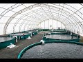 Aquaculture Practices in Botswana Fish Farming