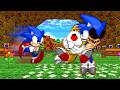 If Sonic Robo Blast 2 Played Like Outcome Memories If Sonic Robo Blast 2 Played Like Outcome Memories