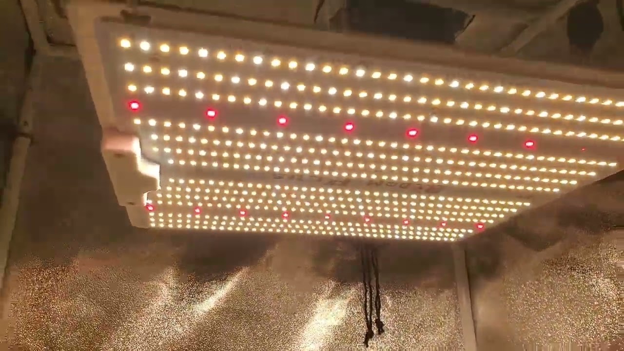 Critical Auto by Nukeheads. Sponsored by 