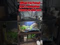 I got to quit getting nocturnal animals #aquaticpets #reptileenclosure #reptiles #fyp