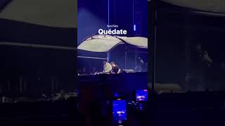 Quédate - Martin Garrix FT Bizzarap [ EN VIVO 🔴 ] / EDC 2023 Mexico - (remix Tiësto)