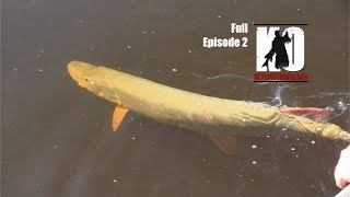 Musky Fishing a Wild River in Minnesota