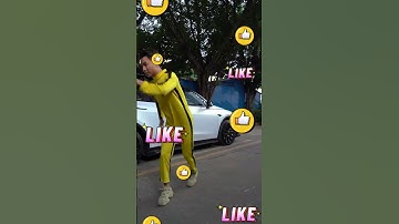 Does he really need Chinese Kung Fu to open the Tesla door?