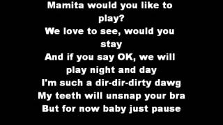 Pitbull- Pause (lyrics)