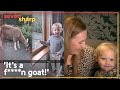 Young girl’s expletive-laden rant about a goat goes viral | Seven Sharp