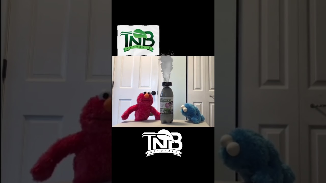 thebiggreenguy - Final submission for the 