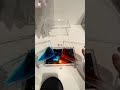 思ったのの100倍濃い紫になったwwww#生活音#色混ぜ#みぃひな#みぃひな夫婦#雰囲気 #人気になりたい