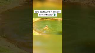 Paul family ranch on youtube #viral #viralvideo #jakepaul #1million #youtubeshorts #youtube #goviral