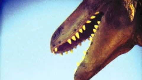 Goddamn Electric Bill - Lost in the Zoo