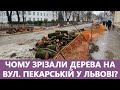 Чому зрізали дерева на вул. Пекарській у Львові? Хто приймав рішення і чи можна було зробити інакше?