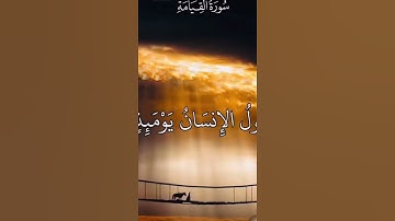 بصوت يفوق الخيال يتلو الشيخ محمود الشحات انور من سورة القيامة فإذا برق البصر و خسف القمر #holy