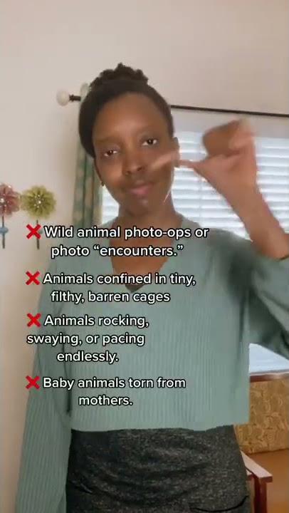 Red Flags at Roadside Zoos