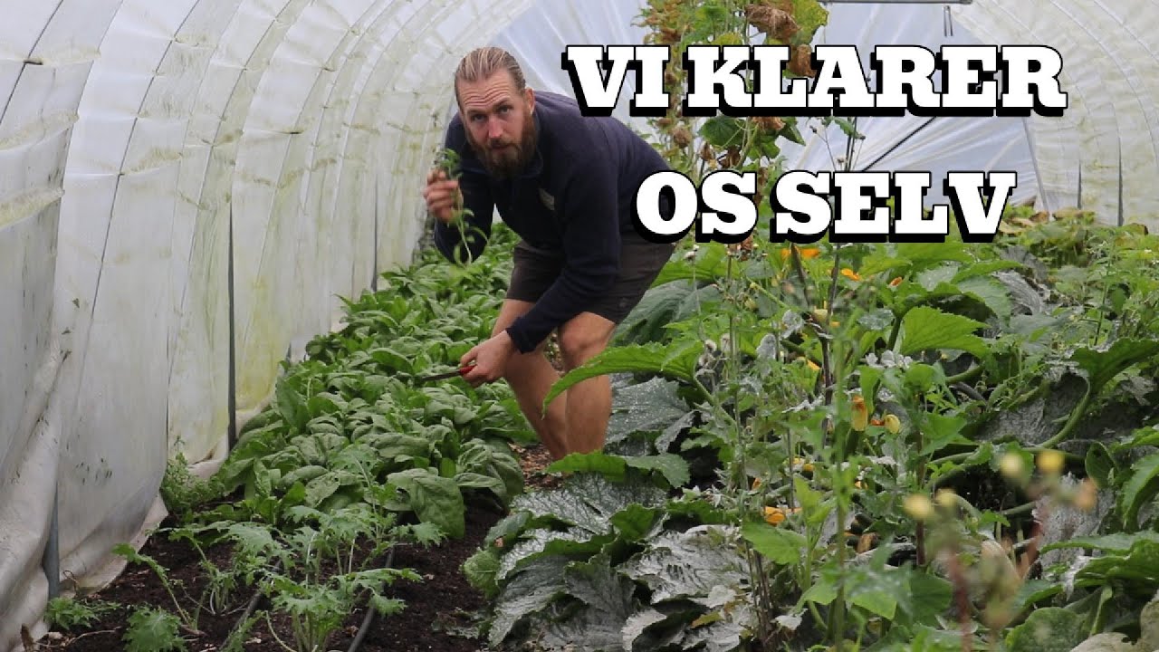 Hvad vil det sige at være selvforsynende - og kan man det?