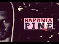 Pine Bafania Pine Bafania