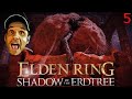 Unterlevelt im DLC - Elden Ring Shadow of the Erdtree - Teil 5