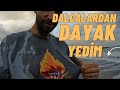 DALGALI DENİZDE BALIK AVI
