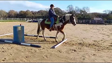 Debbie Ware & Dillon - Team Star Treccers