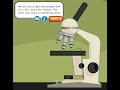 Mastering Gram Staining and Microscope Techniques in Microbiology