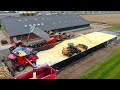 Combining Corn And Making Of Corn Cob Mix CCM CASE IH 8250 650hp Stade Grinding Mill Rovers Combining Corn And Making Of Corn Cob Mix CCM CASE IH 8250 650hp Stade Grinding Mill Rovers