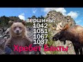 хребет Бакты (1042,1051,1067,1037) от меня убежал Медведь! нашел рог Лося!