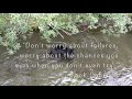 True North Inspiration Through Nature - Bear Fishing