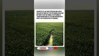 NOLAN’S $500 ACRES OF REALITY… #shorts #viral #trending #fyp #viraltrend