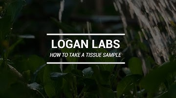 How to Take a Tissue Sample