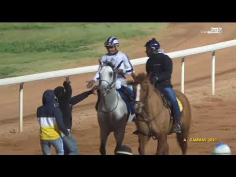 كأس الامير سلطان للخيل العربية 2020- مباشر الخالدية